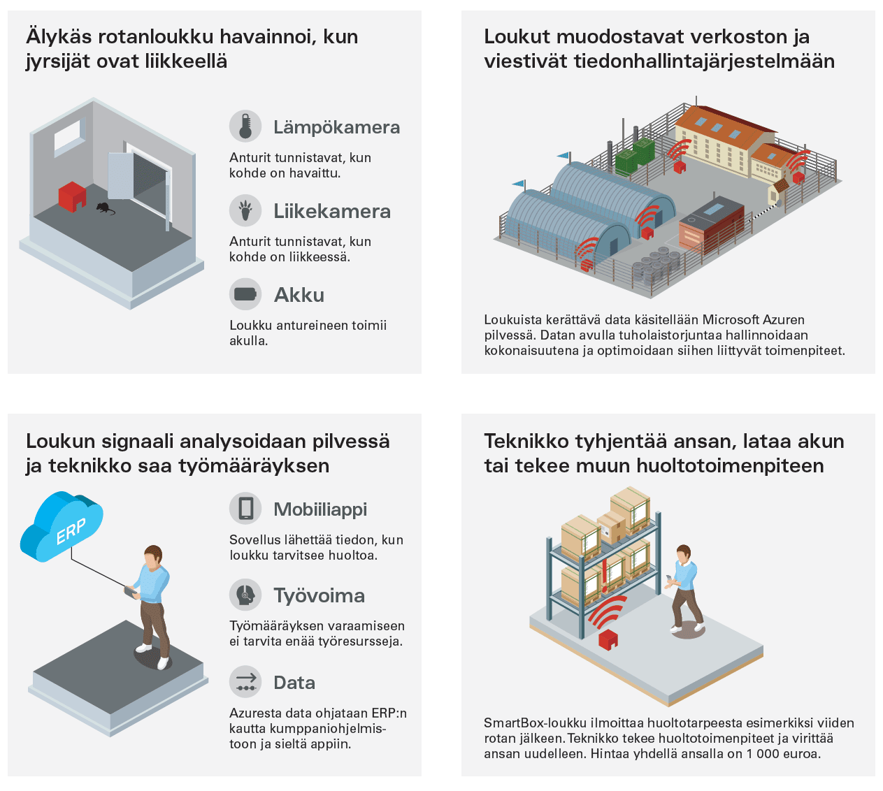 Sosiaaliseen mediaan tarkoitettu infografiikka näyttää professorien määrän laskun.